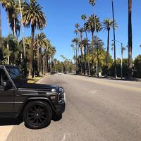 Отзыв от Георгий - DTV виза